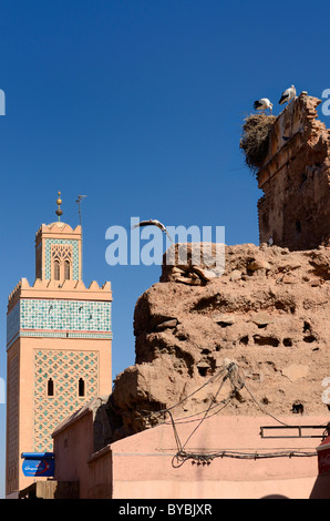 Minareto della Moschea Kasbah con battenti e la nidificazione delle cicogne bianche sul cielo blu in rovina Medina di Marrakech marocco Foto Stock