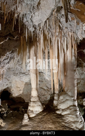 Dettaglio di formazioni calcaree compresi stalattiti e stalagmiti in caverne di Jenolan in Australia Foto Stock