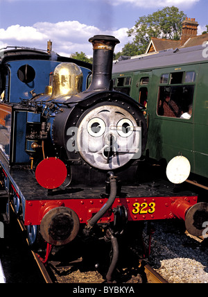 Ferrovia Bluebell a Sheffield Park Station, Sussex, Inghilterra Foto Stock