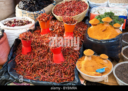 Secchi peperoncino rosso, Mercado Municipal, San Cristobal de las Casas, Chiapas, Messico Foto Stock