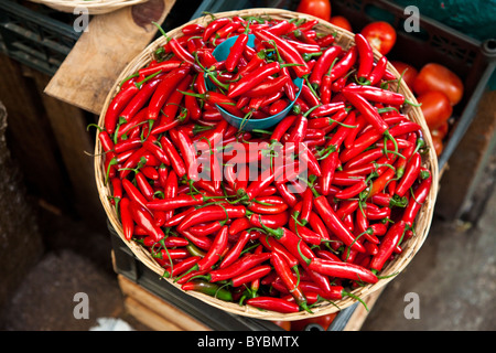 Peperoncino rosso, Mercado Municipal, San Cristobal de las Casas, Chiapas, Messico Foto Stock