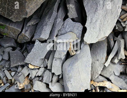 Grigio texture in lastricato in pietra calcarea Pirenei Foto Stock