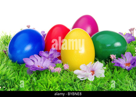 Ostereier auf Blumenwiese - uova di pasqua sul prato di fiori 14 Foto Stock