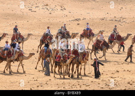 L'Egitto, i turisti a cavallo di cammelli di Giza in Egitto Foto Stock