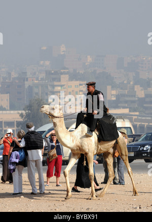 La polizia sui cammelli e turisti di Giza in Egitto con il Cairo in background. Foto Stock