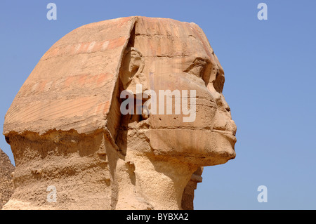 La Sfinge di Giza in Egitto Foto Stock