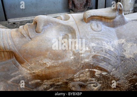 Il faraone Statua di Ramesse al Museo di Memphis, vicino a Il Cairo, Egitto Foto Stock