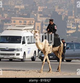 La polizia sui cammelli di Giza in Egitto con il Cairo in background. Foto Stock