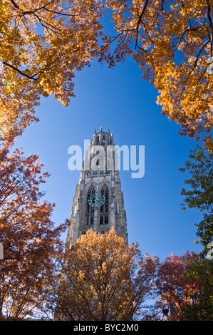 Harkness Tower, Yale University Campus, New Haven, Connecticut, Stati Uniti d'America. Foto Stock