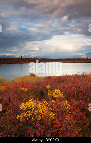 Denali Highway, Alaska. Foto Stock