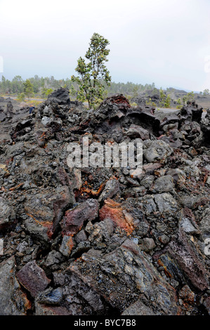 Roccia lavica a catena di crateri Road Parco Nazionale dei Vulcani delle Hawaii Oceano Pacifico Kilauea Foto Stock