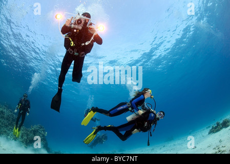 Gruppo di subacquei nuotare nelle acque blu vicino a Coral reef Foto Stock