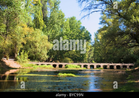 Parco naturale della Sierras de Cazorla Segura y las Villas, Cazorla, Provincia di Jaen, Spagna. Ponte sul fiume Guadalquivir. Foto Stock