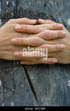 Messa a fuoco selettiva IMMAGINE DI UN WOMANS mani abbracciando un albero di palma Foto Stock