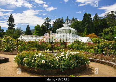 Giardino invernale di Serra da giardini di rose, Dunedin Botanical Gardens, Dunedin, Otago, Isola del Sud, Nuova Zelanda Foto Stock