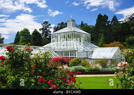 Giardino invernale di Serra da giardini di rose, Dunedin Botanical Gardens, Dunedin, Otago, Isola del Sud, Nuova Zelanda Foto Stock