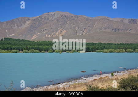 Lago Tekapo, Distretto di Mackenzie, Canterbury, Isola del Sud, Nuova Zelanda Foto Stock