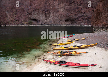 Fare kayak in Black Canyon area del Fiume Colorado, Mojave Desert. Foto Stock