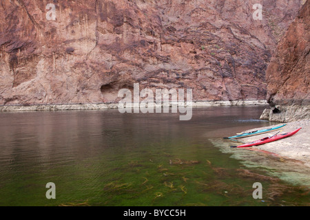 Fare kayak in Black Canyon area del Fiume Colorado, Mojave Desert. Foto Stock