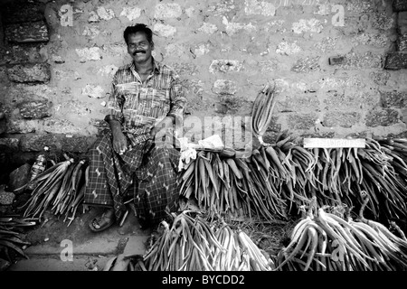 Un uomo vende ortaggi in Alappuzha (a.k.a. Alleppey) in Kerala, India. Foto Stock