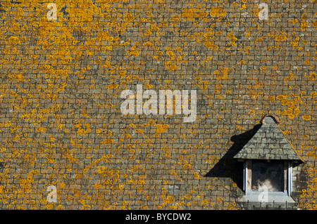 Tetto in ardesia coperte di muschio di Saint-Malo, Brittany, Francia. Foto Stock