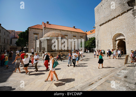 Onofrio fontana, costa dalmata, Dubrovnik, centro storico, Croazia Foto Stock