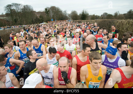 Eseguire runner runner in funzione jog pareggiatori pareggiatore jogging esercizio Esercizio Esercizio fisico montare mantenere fitness mantenendo la maratona ma Foto Stock