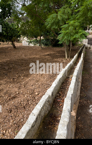 L'irrigazione trogoli di aranceti di Buskett Gardens, vicino a Rabat, Malta. Il XVII secolo, costruita per il Gran Maestro Lascaris Foto Stock