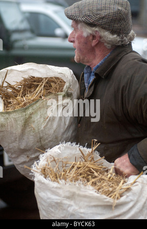 Ultimi giorni a Taunton Mercato del Bestiame prima di lasciare la città interna sito per il moderno mercato nuovo in autostrada. Foto Stock