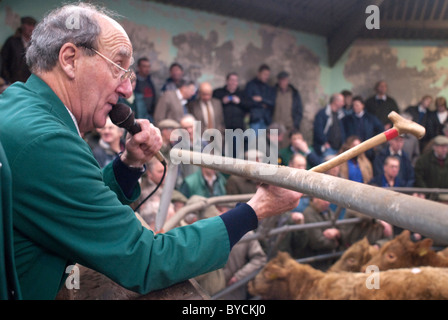 Ultimi giorni a Taunton Mercato del Bestiame prima di lasciare la città interna sito per il moderno mercato nuovo in autostrada. Foto Stock