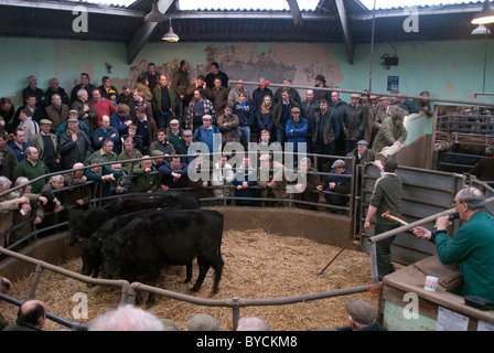 Ultimi giorni a Taunton Mercato del Bestiame prima di lasciare la città interna sito per il moderno mercato nuovo in autostrada. Foto Stock