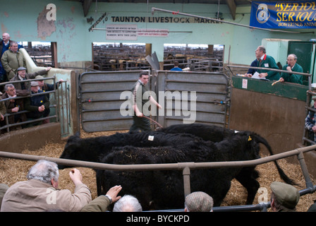 Ultimi giorni a Taunton Mercato del Bestiame prima di lasciare la città interna sito per il moderno mercato nuovo in autostrada. Foto Stock