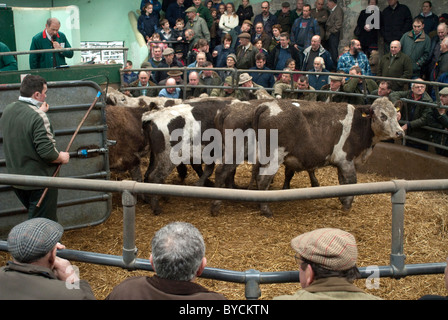 Ultimi giorni a Taunton Mercato del Bestiame prima di lasciare la città interna sito per il moderno mercato nuovo in autostrada. Foto Stock