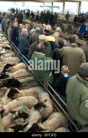 Ultimi giorni a Taunton Mercato del Bestiame prima di lasciare la città interna sito per il moderno mercato nuovo in autostrada. Foto Stock