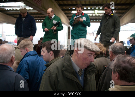 Ultimi giorni a Taunton Mercato del Bestiame prima di lasciare la città interna sito per il moderno mercato nuovo in autostrada. Foto Stock