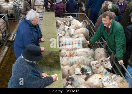 Ultimi giorni a Taunton Mercato del Bestiame prima di lasciare la città interna sito per il moderno mercato nuovo in autostrada. Foto Stock