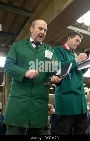 Ultimi giorni a Taunton Mercato del Bestiame prima di lasciare la città interna sito per il moderno mercato nuovo in autostrada. Foto Stock