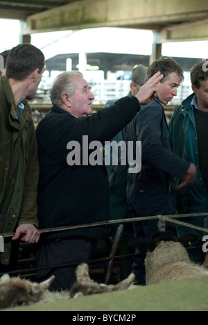 Ultimi giorni a Taunton Mercato del Bestiame prima di lasciare la città interna sito per il moderno mercato nuovo in autostrada. Foto Stock