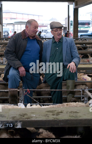 Ultimi giorni a Taunton Mercato del Bestiame prima di lasciare la città interna sito per il moderno mercato nuovo in autostrada. Foto Stock