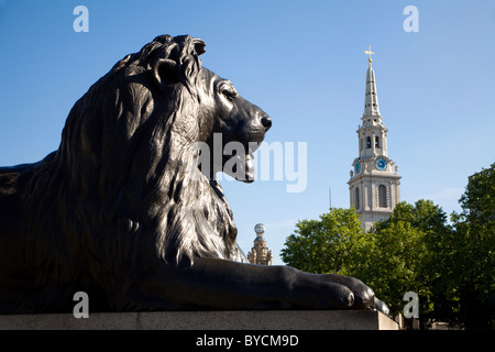 Londra - Lion dall'ammiraglio Nelson memorial - Trafalgar square Foto Stock