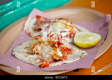 Tacos al parroco di San Cristobal de las Casas, Chiapas, Messico Foto Stock