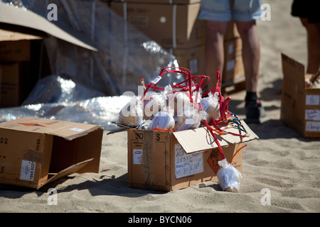 Scatola di cartone piena di fuochi d' artificio bombe pronte per essere messo nelle loro cannoni per essere sparato in cielo il 14 Luglio a St Tropez. Francia Foto Stock