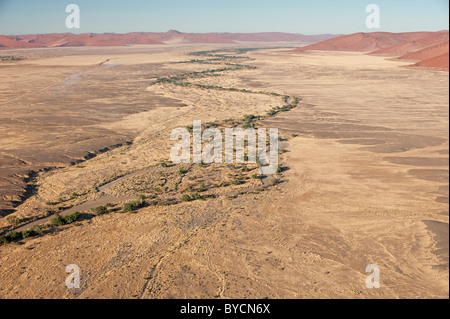 Il Tsauchab River Canyon, con le dune di sabbia rossa vicino al Sossusvlei, Parco Namib-Naukluft, Namibia centrale. Foto Stock