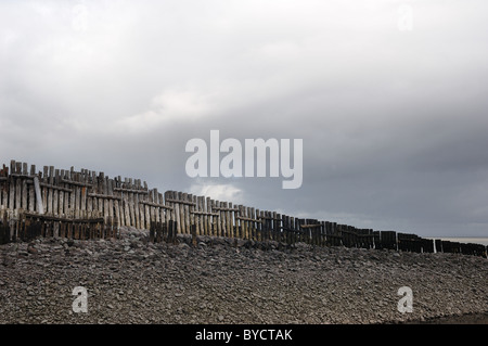 Difesa del Mare - Giovanni Gollop Foto Stock