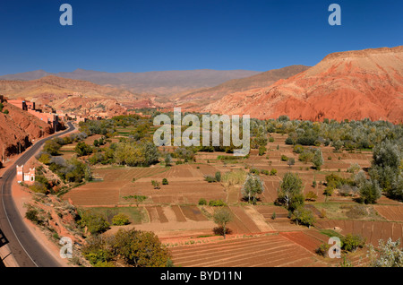 Terra rossa in campi di fattoria lungo il dades gorge road in alto atlante marocco Foto Stock