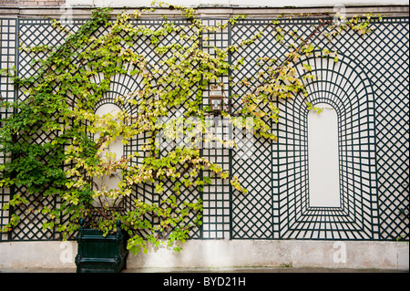 Parete con rack per le piante nel nono arrondissement di Parigi Foto Stock