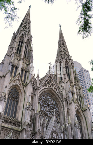 New York alla Cattedrale di San Patrizio. Foto Stock