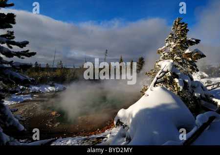 Il vapore che si elevano da una primavera calda. Parco Nazionale di Yellowstone, Wyoming negli Stati Uniti. Foto Stock