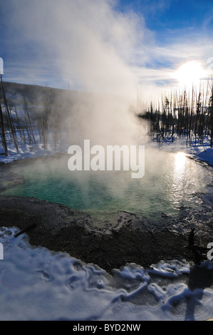 Il vapore che si elevano da una primavera calda. Parco Nazionale di Yellowstone, Wyoming negli Stati Uniti. Foto Stock