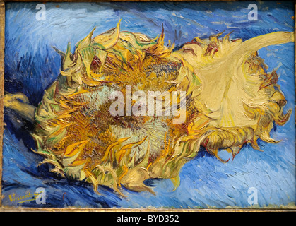 Girasoli, 1887, di Vincent van Gogh, Foto Stock